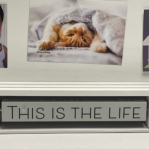 Spin Quotes 6 Clip Wall Collage Picture Frame 16.5"x15"x2.5" Holds 6 Picture NEW - Picture 7 of 13